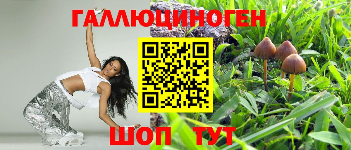 Галлюциногенные грибы мухоморы  Галлюциногенные грибы мухоморы  Вход с VPN  Благодарный 